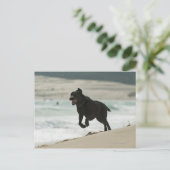 Tarifa, Cadiz, Andalusien, Spanien Postkarte (Stehend Vorderseite)