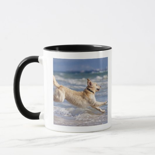 Tarifa, Cadiz, Andalusien, Spanien Tasse (Links)