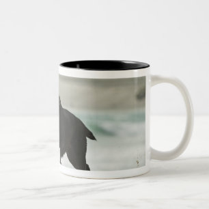 Tarifa, Cadiz, Andalusien, Spanien Zweifarbige Tasse