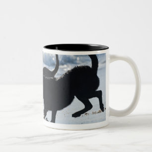 Tarifa Cadiz Andalusien Spanien Zweifarbige Tasse