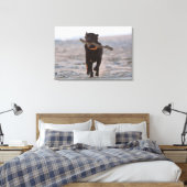 Tarifa, Cadiz, Spanien Leinwanddruck (Insitu (Schlafzimmer))