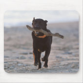 Tarifa, Cadiz, Spanien Mousepad (Vorne)