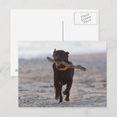 Tarifa, Cadiz, Spanien Postkarte (Vorne/Hinten)