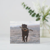 Tarifa, Cadiz, Spanien Postkarte (Stehend Vorderseite)