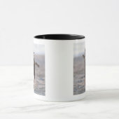 Tarifa, Cadiz, Spanien Tasse (Zentrum)