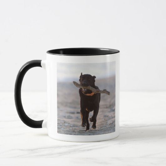 Tarifa, Cadiz, Spanien Tasse (Links)