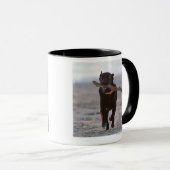 Tarifa, Cadiz, Spanien Tasse (VorderseiteRechts)