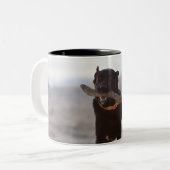 Tarifa, Cadiz, Spanien Zweifarbige Tasse (Vorderseite Links)