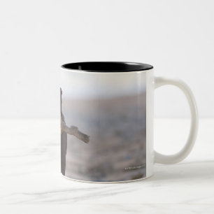 Tarifa, Cadiz, Spanien Zweifarbige Tasse