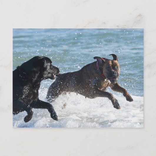 Tarifa spain postkarte (Vorderseite)