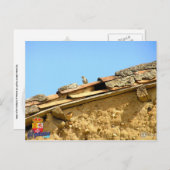 Tarjeta posta postkarte (Vorne/Hinten)