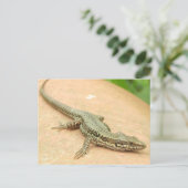 Tarjeta Postal Lagartija Postkarte (Stehend Vorderseite)