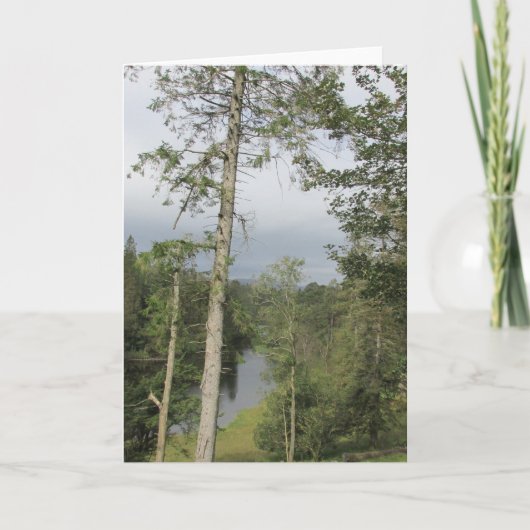Tarn Hows Bäume Karte (Vorderseite)