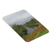 Tarn Hows - Lake District Flexible Foto Magnet (Rechte Seite)