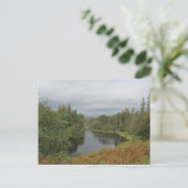 Tarn Hows - Lake District Postcard Postkarte (Stehend Vorderseite)