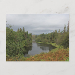 Tarn Hows - Lake District Postcard Postkarte