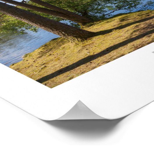 Tarn Hows Poster (Ecke)