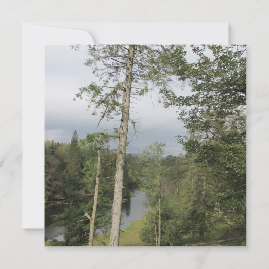 Tarn Hows Trees Flat Greeting Card (Vorderseite)