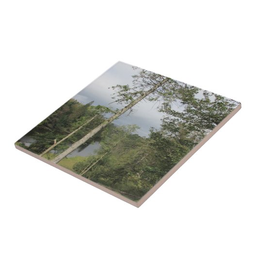 Tarn Hows Trees Keramik Tile Fliese (Seite)