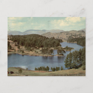 Tarn Hows Vintage Englischer Lake District Blick Postkarte