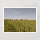 Tarnowskie Góry (Polen) Postkarte (Vorderseite)