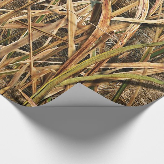 Tarnung durch John Geschenkpapier (Ecke)