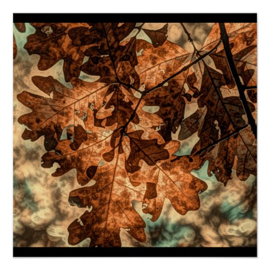 Tarnung Herbstleaves Orange Fall Foliage Poster (Vorderseite)