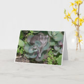 Tarnung Karte (Gelbe Blume)