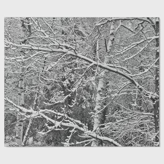 Tarnungs-Packpapier Geschenkpapier (Flach)