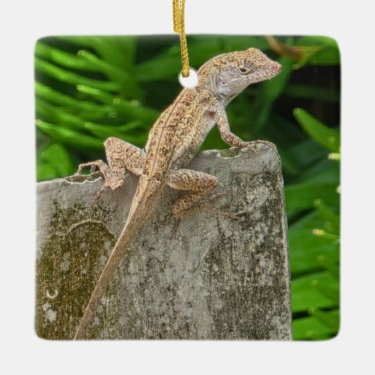 Tarnungsmeister Keramikornament (Vorderseite)