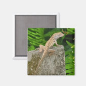 Tarnungsmeister Magnet (Vorderseite/Rückseite)