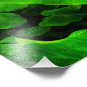 Taro Fotodruck (Ecke)