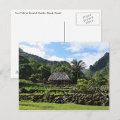 Taro Garden in Limahuli Garden, Kauai Postkarte (Vorne/Hinten)