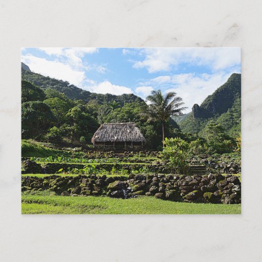 Taro Garden in Limahuli Garden, Kauai Postkarte (Vorderseite)