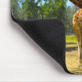 Taronga Western Plains Zoo Dubbo - Giraffen Mousepad (Ecke)