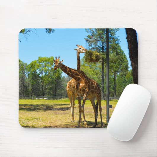 Taronga Western Plains Zoo Dubbo - Giraffen Mousepad (Mit Mouse)