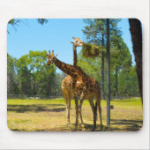 Taronga Western Plains Zoo Dubbo - Giraffen Mousepad (Vorne)