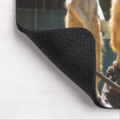 Taronga Western Plains Zoo Dubbo - Meerkat Mousepad (Ecke)