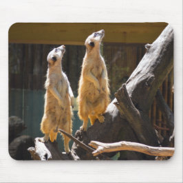 Taronga Western Plains Zoo Dubbo - Meerkat Mousepad