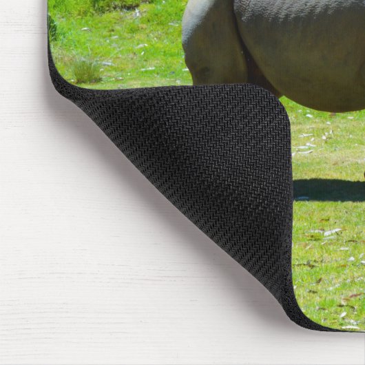 Taronga Western Plains Zoo Dubbo - Rhino Mousepad (Ecke)