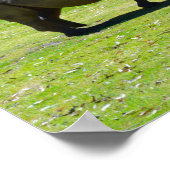 Taronga Western Plains Zoo Dubbo - Rhino Poster (Ecke)