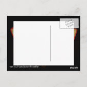 Tarot Cards Postkarte (Rückseite)