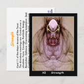 Tarot-Karte Postkarte (Vorne/Hinten)