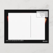 Tarot-Karten (1) Postkarte (Rückseite)