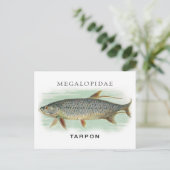 Tarpon Fischerei Vintage Fischdarstellung mit Name Postkarte (Stehend Vorderseite)