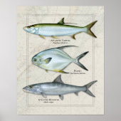 Tarpon, Genehmigung, Bonefish Trio Poster (Vorne)