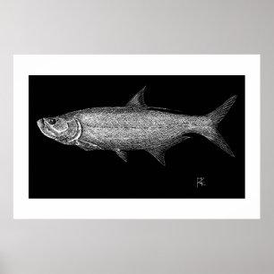 Tarpon-Kratzerkunst Poster