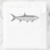 Tarpon-Logo (Linie Art) Rechteckiger Aufkleber (Tasche)