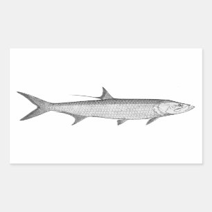 Tarpon-Logo (Linie Kunst) Rechteckiger Aufkleber