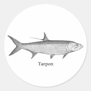 Tarpon-Logo (Linie Kunst) Runder Aufkleber